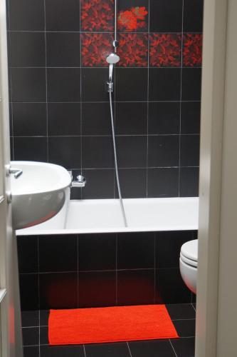 a bathroom with a bath tub and a red rug at La Rotonda in Pavia