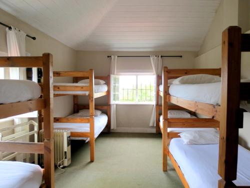 a room with four bunk beds and a window at Fairy Knowe Backpackers in Wilderness