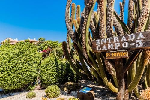 a cactus garden with a sign in front of it at Parque Santiago IV Official in Playa de las Americas