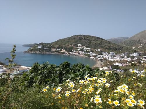 a view of a beach with a bunch of flowers at VILA INSPIRATION - ON KINI BEACH in Kinion