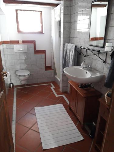 ein Bad mit einem Waschbecken und einem WC in der Unterkunft Diebacher Hof in Büdingen