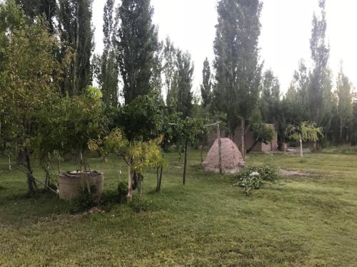 a field with a tent and some trees and grass at Maju in Calingasta