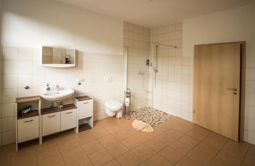 a bathroom with a sink and a toilet and a shower at Wolkensteiner Zughotel in Wolkenstein