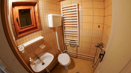 a small bathroom with a toilet and a sink at Golema Reka in Crni Vrh