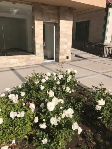 un arbusto de rosas blancas delante de un edificio en Moderno departamento en Av. San Martín en San Martín de los Andes