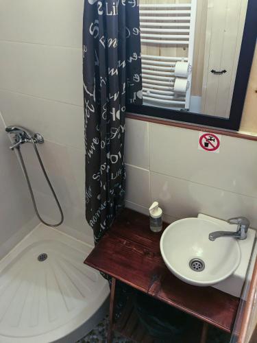 a bathroom with a sink and a shower curtain at Golema Reka in Crni Vrh