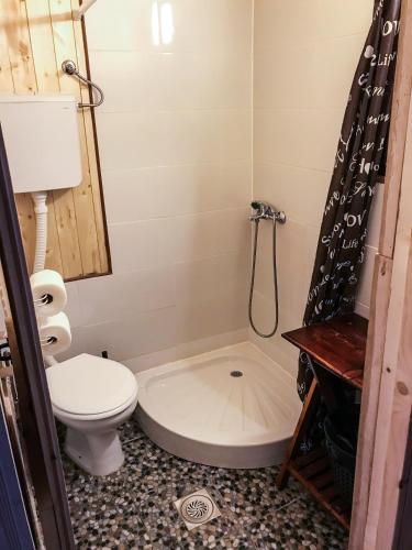a small bathroom with a toilet and a shower at Golema Reka in Crni Vrh