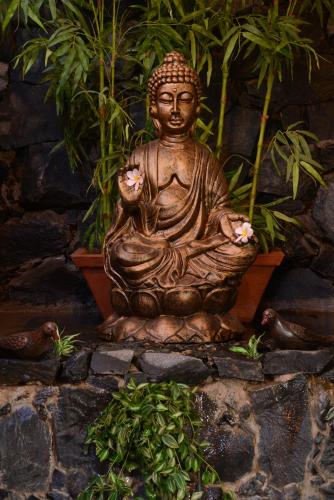 Taman di luar Pride Sun Village Resort & Spa
