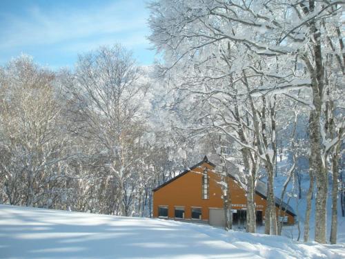 野沢温泉村にあるロッヂまつやの雪に覆われた木の前の建物