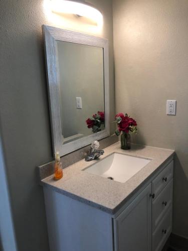 a bathroom with a sink and a mirror at Ohana Pua Hale in Kailua-Kona