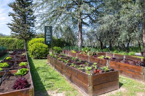 a garden with several raised beds of plants at Villa I Barronci Resort & Spa in San Casciano in Val di Pesa
