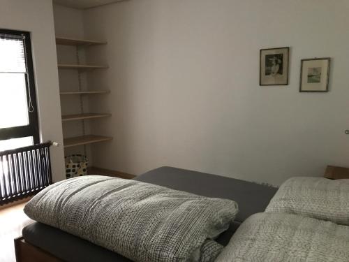 ein Schlafzimmer mit einem Bett und einem Bücherregal in der Unterkunft Ferienwohnung am Weinberg in Randersacker