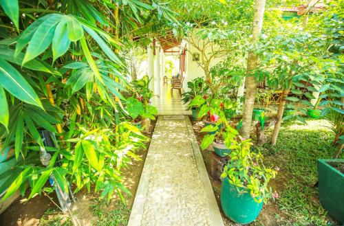 een tuin met een loopbrug in het midden van planten bij Nehansa Resort and safari in Tissamaharama