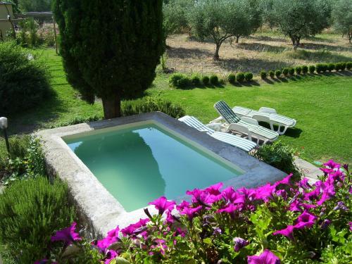 a swimming pool with two lawn chairs and purple flowers at Le Pozze Terme B&B in Viterbo