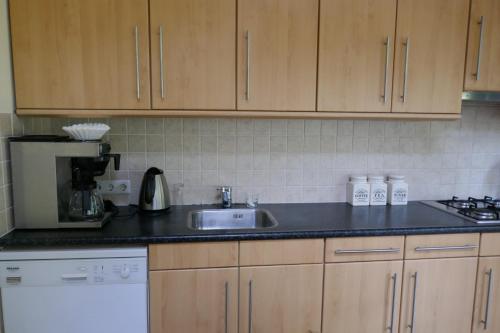 Η κουζίνα ή μικρή κουζίνα στο Appartement Rezonans