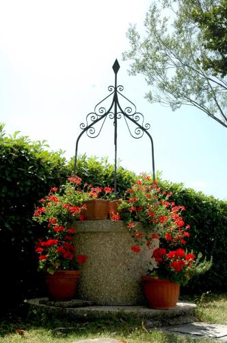 a large planter with red flowers in it at Casa Vacanze Vecchio Granaio in Magione
