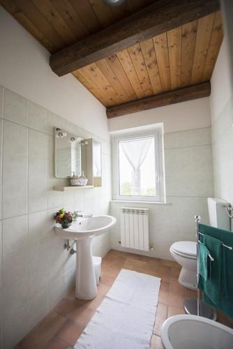 a bathroom with a sink and a toilet and a window at Agriturismo Calamello in Pergola
