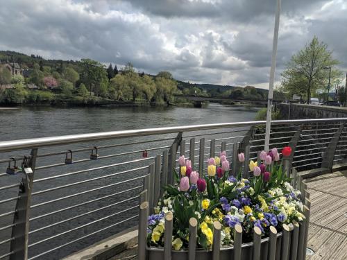 a bouquet of tulips on a fence next to a river at Woodlea in Perth