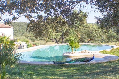 Foto dalla galleria di Sierra hornachos a Hornachos