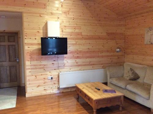 a living room with a couch and a tv on a wall at Butterfly cabin in Limerick