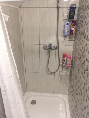 a bathroom with a shower with a sink and a toilet at Villa Irena in Visoko