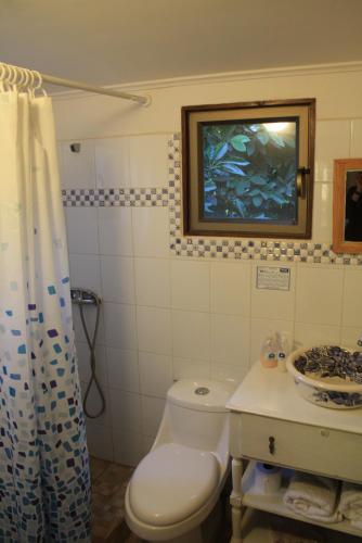 a bathroom with a toilet and a painting on the wall at Alojamiento Rural Casa Quinta Peumayen in Isla de Maipo