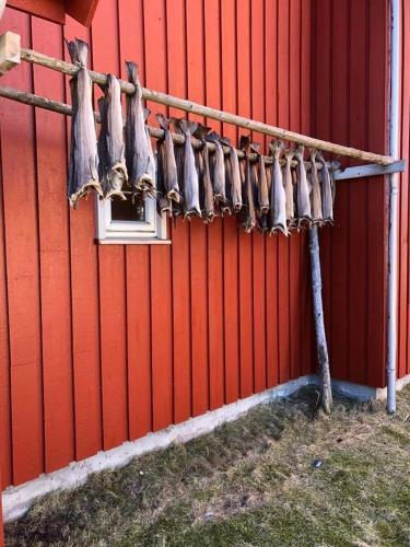 Gambar di galeri bagi Ballstad Brygge Rorbu di Ballstad