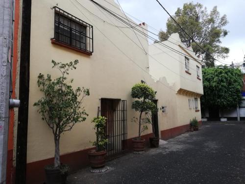 a building with potted trees on the side of it at Hostal Centro de Coyoacan in Mexico City