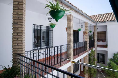 Deluxe La Trinidad