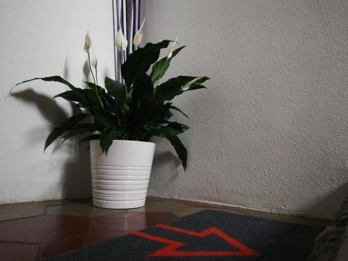 Fotografie z fotogalerie ubytování Stop Over BLQ v destinaci Boloňa