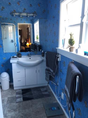 Baño azul con lavabo y espejo en A Cozy Room with It's Own Privacy, en Upper Hutt