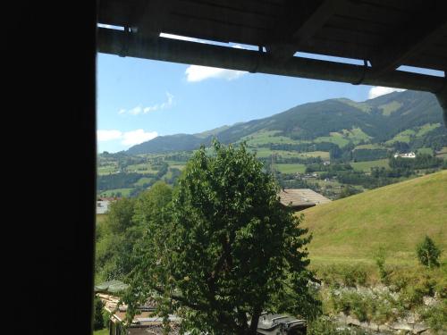 a view of a valley from a window with a tree at Haus Tenk in Mittersill