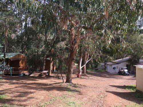 Taman di luar Camping du Soleil