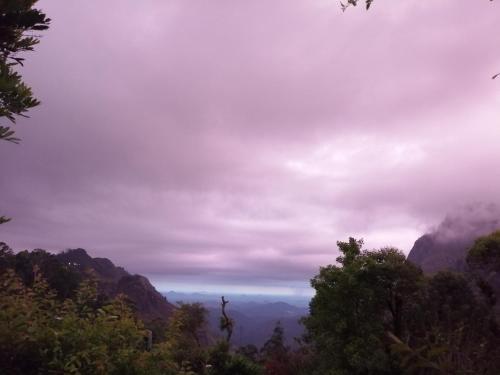 Gallery image of Tea Garden Holiday Inn in Ella