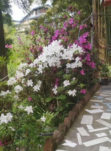 Ein Garten an der Unterkunft Rambler's Nesting Homestay