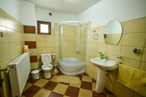 a bathroom with a toilet and a sink at Pensiunea Montana Muntele Mic in Muntele Mic