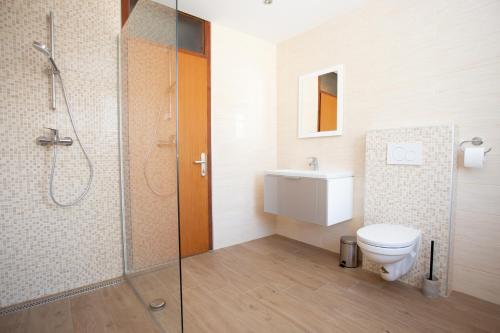 e bagno con doccia, servizi igienici e lavandino. di Hostel LakeBled a Bled