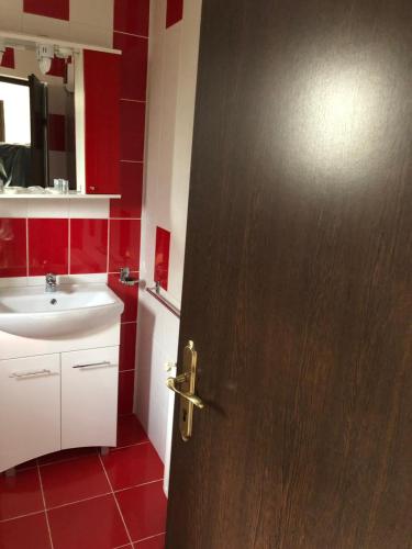 a bathroom with a brown door and a sink at Casa Maria in Bran