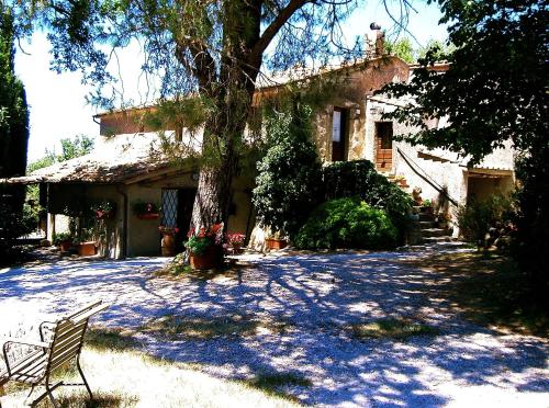 a house with a tree and a bench in front of it at Podere Pinzicalari in Castel del Piano
