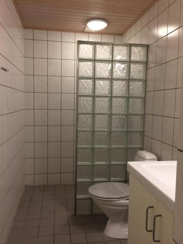 Hvide Sande Beach Apartments في فيد ساندي: حمام به مرحاض وجدار زجاجي مسدود
