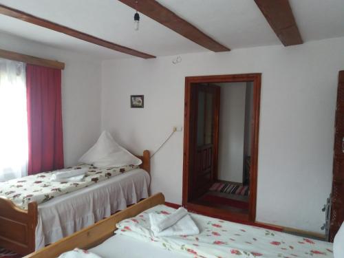 a bedroom with two beds and a mirror at Pensiunea Letitia in Suceviţa