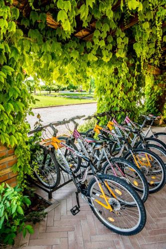 a bunch of bikes parked next to each other at Agriturismo Tenuta Regina - Glamping luxury lodges and apartments in Palazzolo dello Stella
