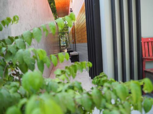 Billede fra billedgalleriet på Lotto House i Ko Samed