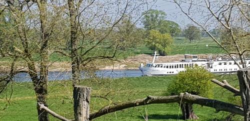 a boat on a river with a fence and trees at An den Elbwiesen GZ FeWo Elbeblick Nur Nichtraucher in Greudnitz