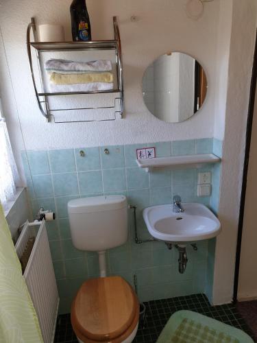 a small bathroom with a toilet and a sink at Pension Münch "Am Anger" in Neuseußlitz