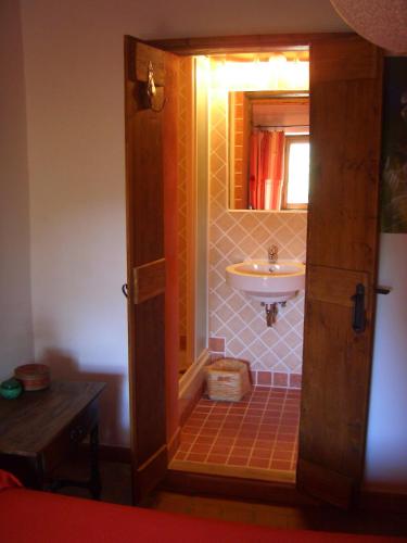 a bathroom with a sink and a mirror at Podere Pinzicalari in Castel del Piano