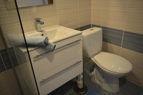 a bathroom with a toilet and a sink at Főtér Apartmanház Szentendre in Szentendre