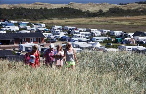 a group of women standing in a field of tall grass at Hvide Sande Beach Apartments in Hvide Sande