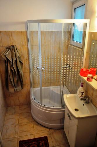 a bathroom with a shower and a sink at Mariuca Apartament in Mangalia