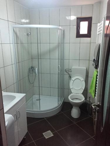a bathroom with a shower and a toilet and a sink at Vila Chiojdu in Chiojdu